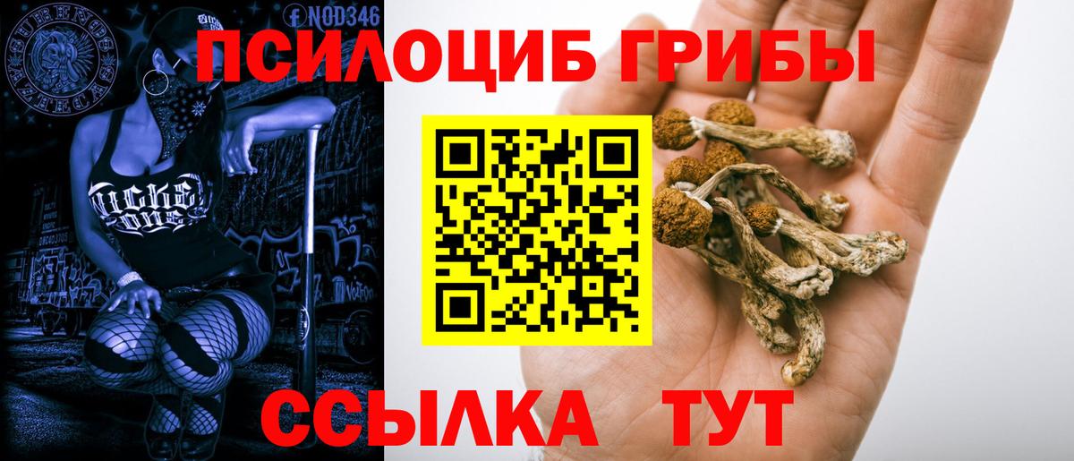 Псилоцибиновые грибы MAGIC MUSHROOMS  Вход с VPN  Норильск 