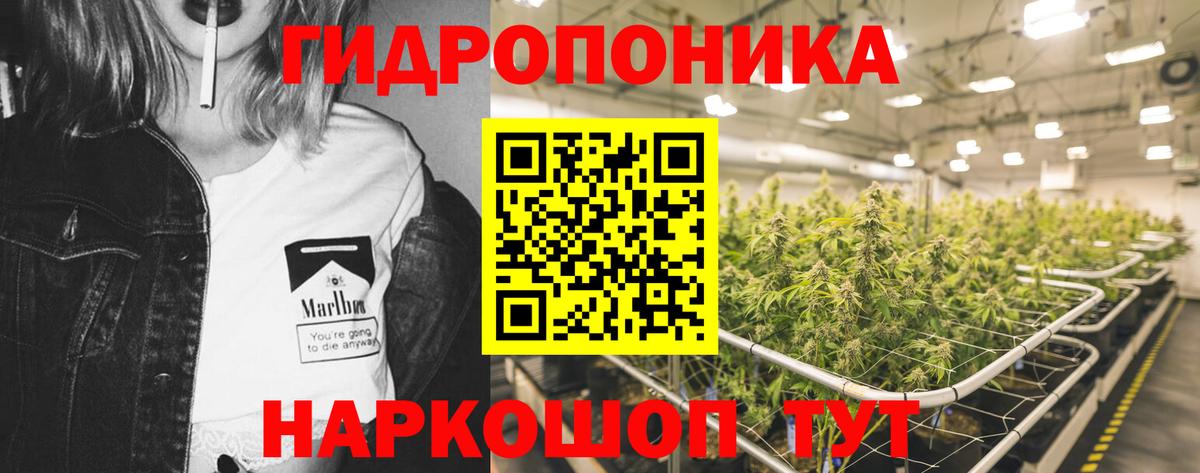 Бошки марихуана Bruce Banner Норильск